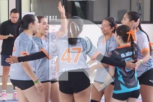 VL-(4)